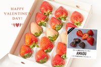 よなフルと【紅白】いちご食べくらべセット 15粒入（送料込）