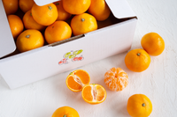 日付指定不可【大田市場より直送】糖度12度以上　夢の恵みかん2kg