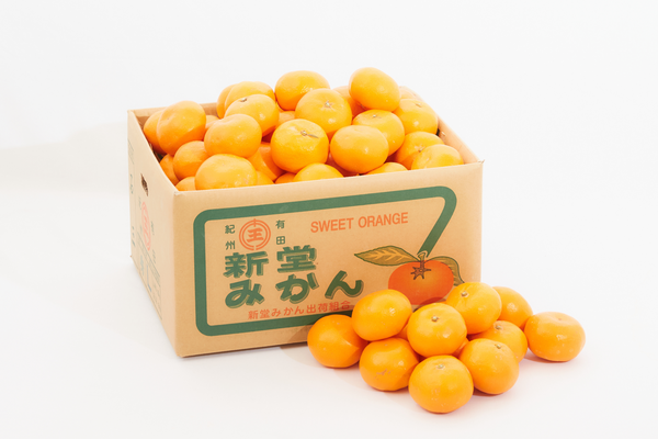 特選　和歌山県産　新堂みかんMサイズ【10kg】