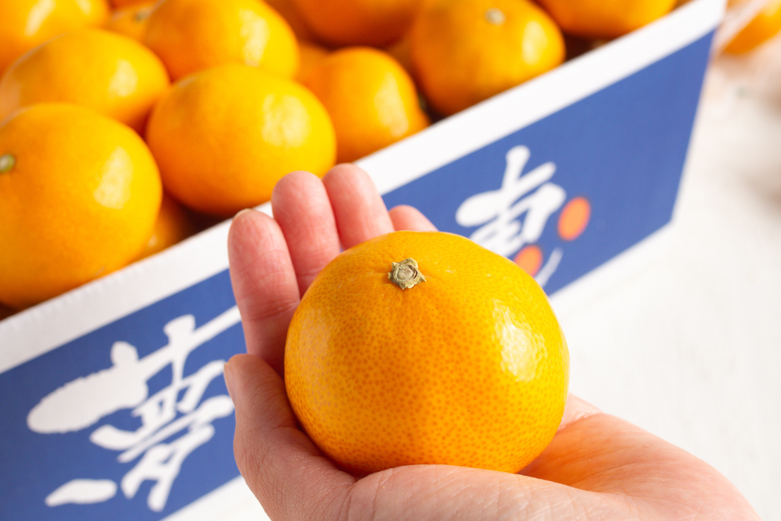 大田市場より直送】糖度12度以上 夢の恵みかん2kg –フルーツギフト専門