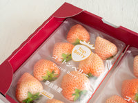 日付指定不可【大田市場より直送】奈良県産 コットンベリー