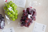 選べるeギフト「e-琥珀」