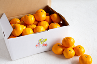 日付指定不可【大田市場より直送】糖度12度以上　夢の恵みかん2kg