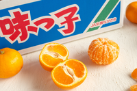 日付指定不可【大田市場より直送】糖度13度以上　味っ子みかん5kg