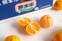 日付指定不可【大田市場より直送】糖度12度以上　夢の恵みかん4kg