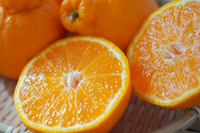 よなフルと柑橘食べくらべセット （送料込）