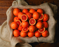 【日付指定不可】高糖度ネーブルオレンジ 10玉