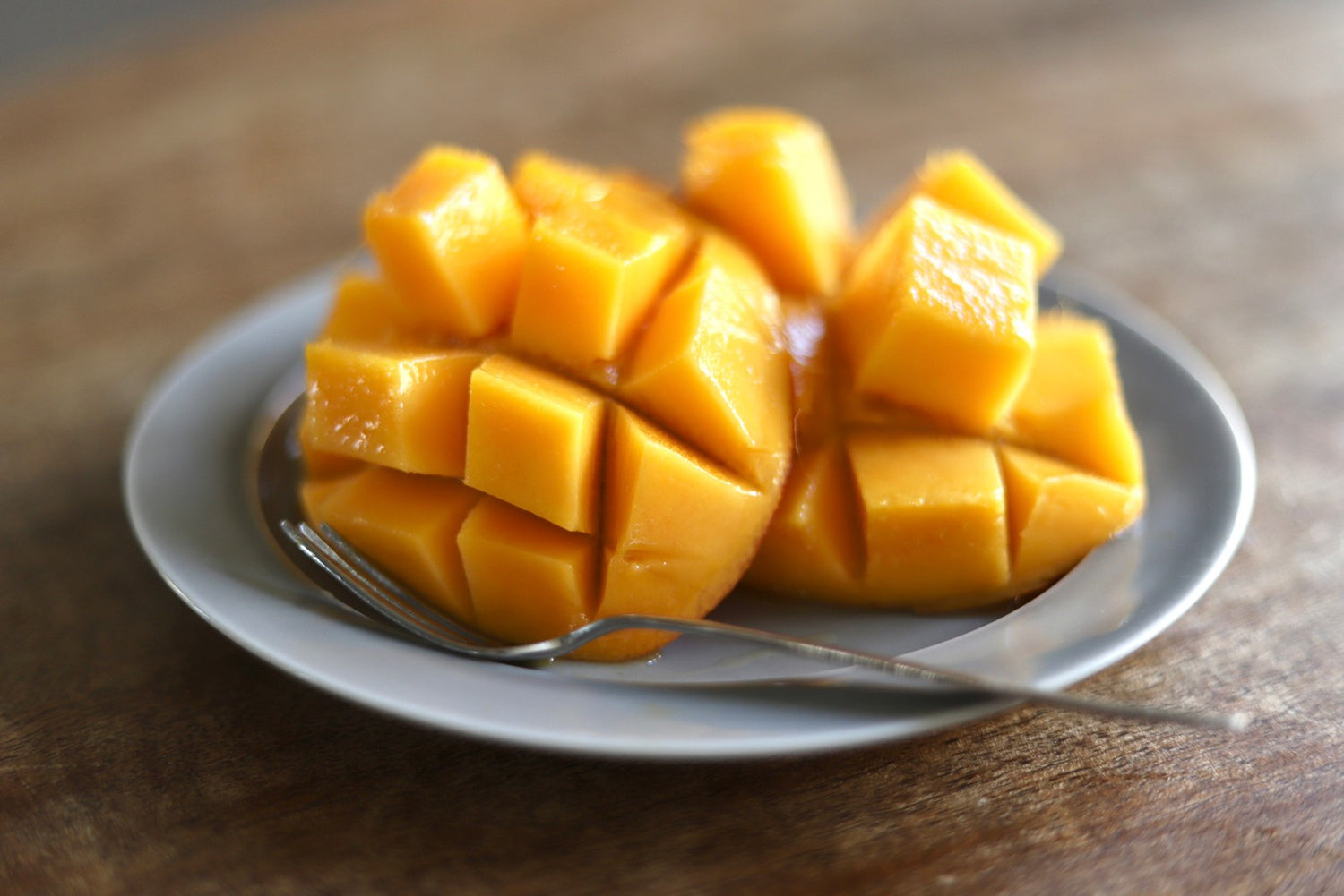 マスクメロンと季節のフルーツセットDX-初夏-｜フルーツギフト