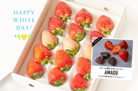 よなフルと【紅白】いちご食べくらべセット 15粒入（送料込）