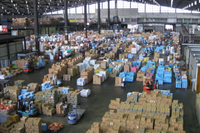 日付指定不可【大田市場より直送】糖度12度以上　味まるみかん5kg