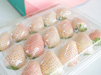 【産地直送・日付指定不可】鈴木いちご園 -ミルキーベリー-