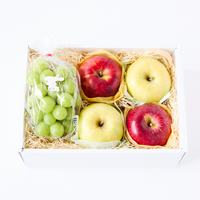 【prestige用テスト商品】シャインマスカットと季節のフルーツセット-秋-