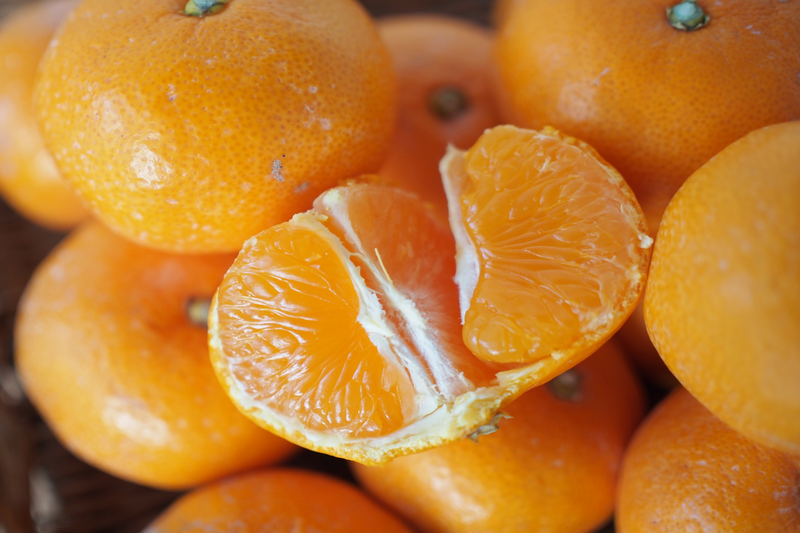 季節のフルーツセット-冬-