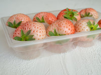 日付指定不可【大田市場より直送】奈良県産 コットンベリー