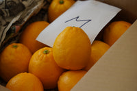 日付指定不可【大田市場より直送】長野県産 スイートレモネード