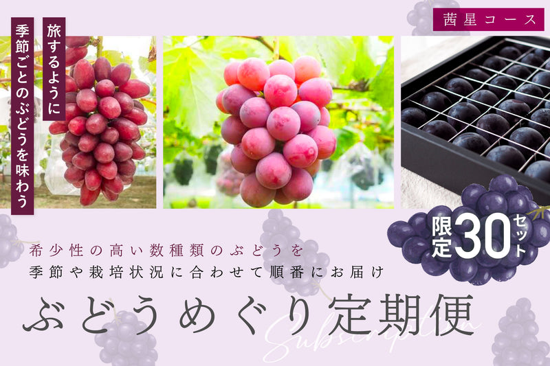 8/10締切【予約受付】ぶどうめぐり定期便　茜星（あかねぼし）コース