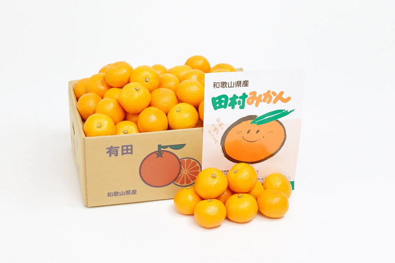 和歌山県産　田村みかんLサイズ【5kg】