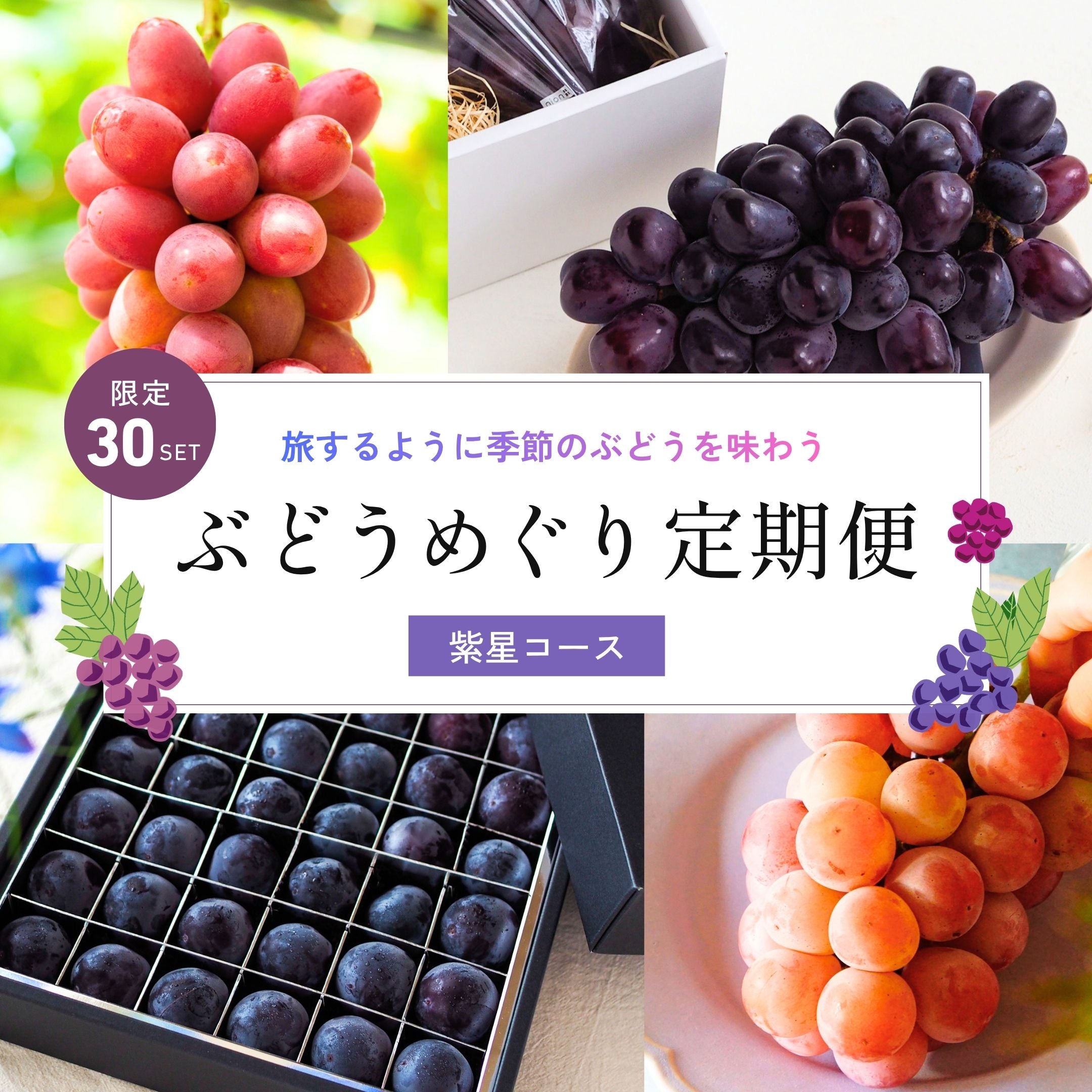 ぶどうめぐり定期便