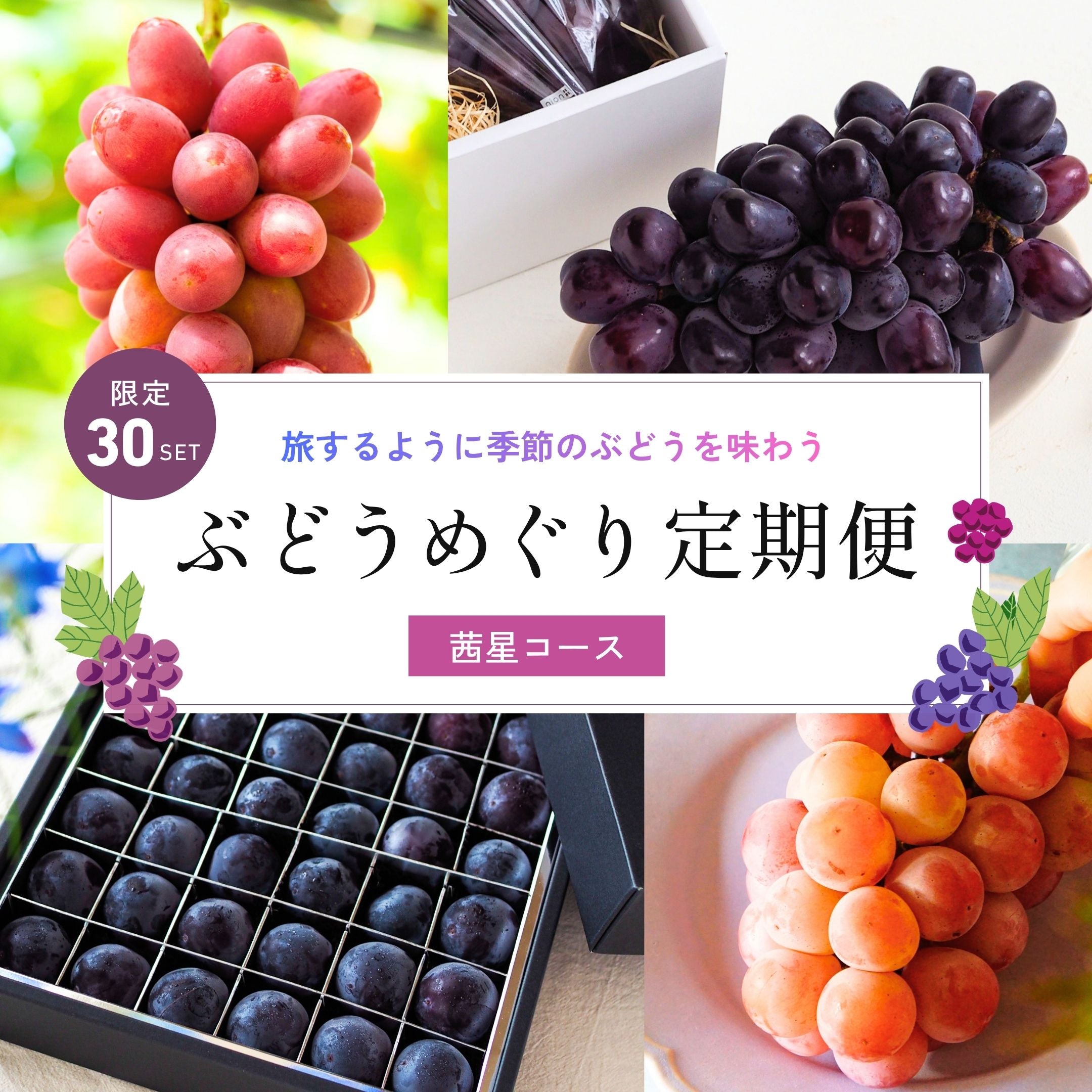 ぶどうめぐり定期便