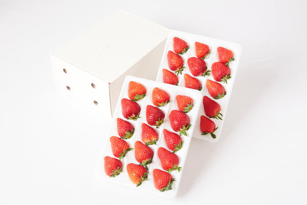 【品種はお任せ！】いちご 24-30粒-送料込みギフト-
