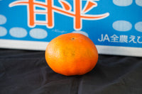 日付指定不可【大田市場より直送】愛媛県産 甘平