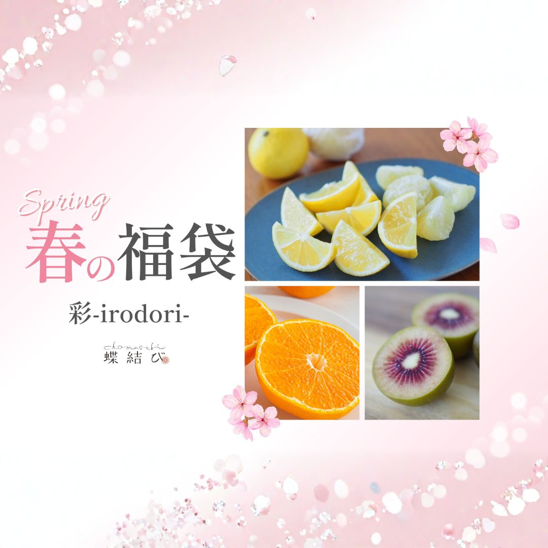 蝶結び 春の福袋