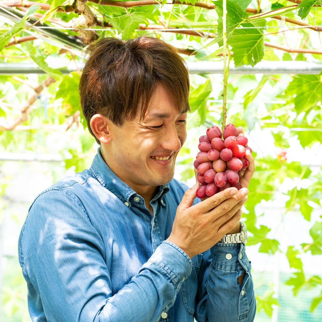 収穫日にそのまま農園からお届けします