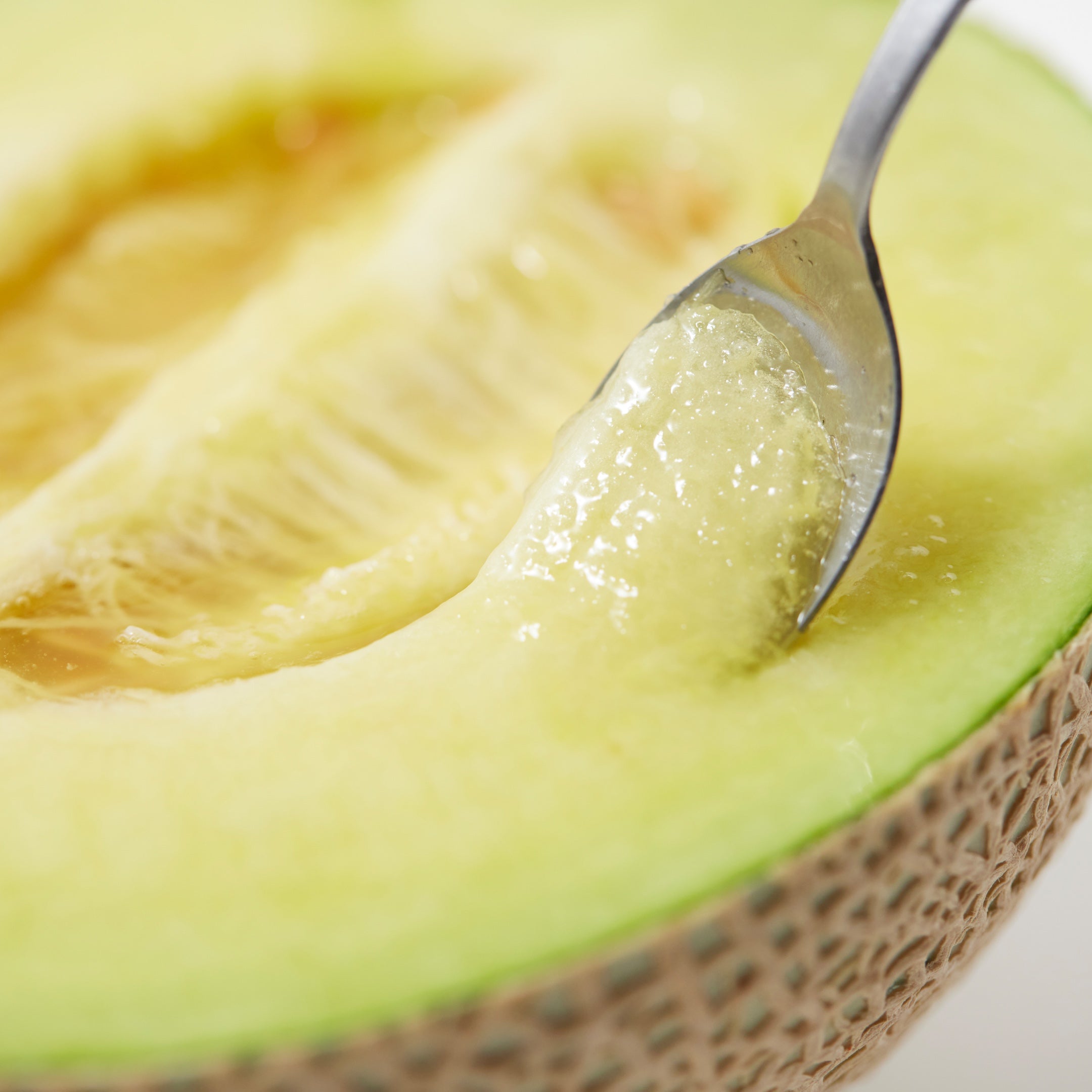 【母の日】マスクメロン　1玉