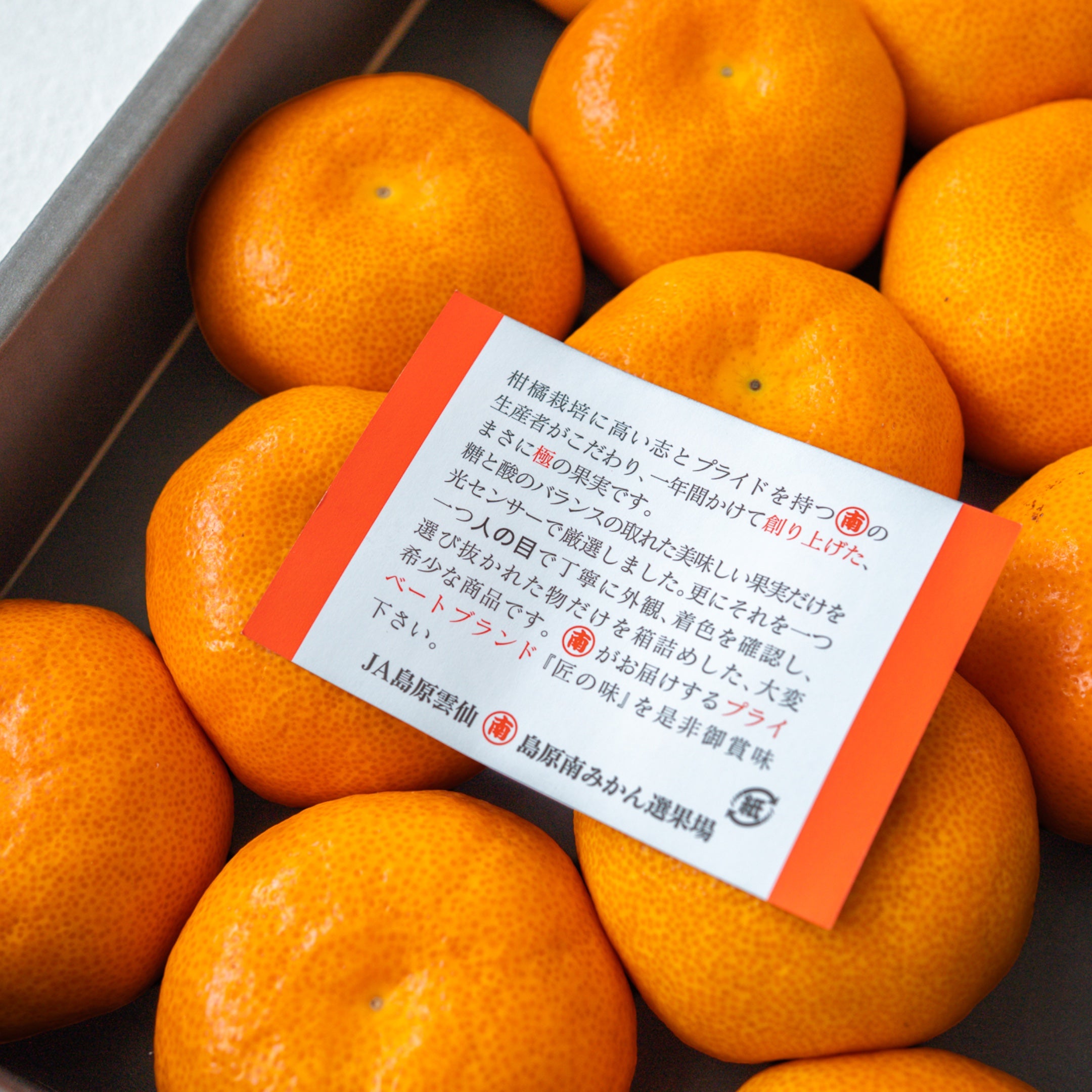匠の味 みかん - フルーツギフト専門店 蝶結び