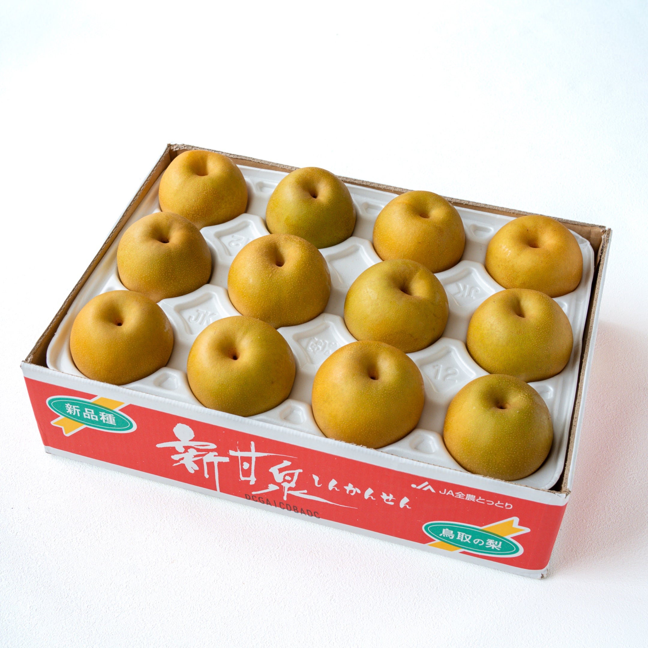 新甘泉