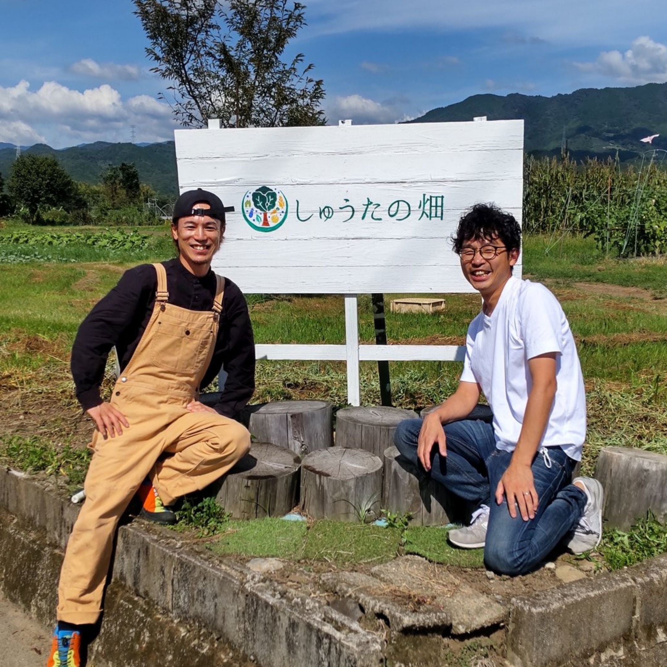桃めぐり定期便｜10日刻みの旬を届ける桃のリレー便–フルーツギフト
