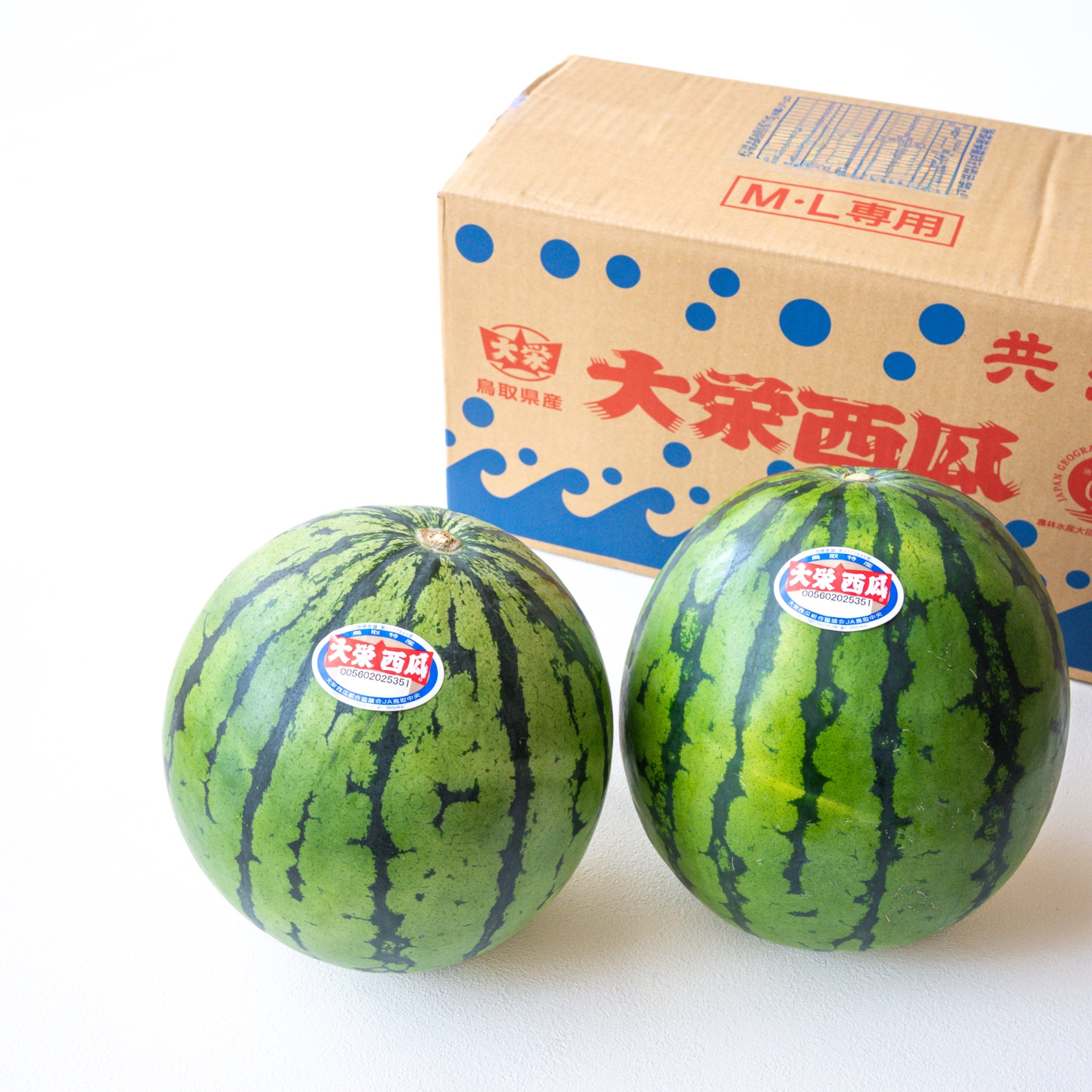 大栄すいか