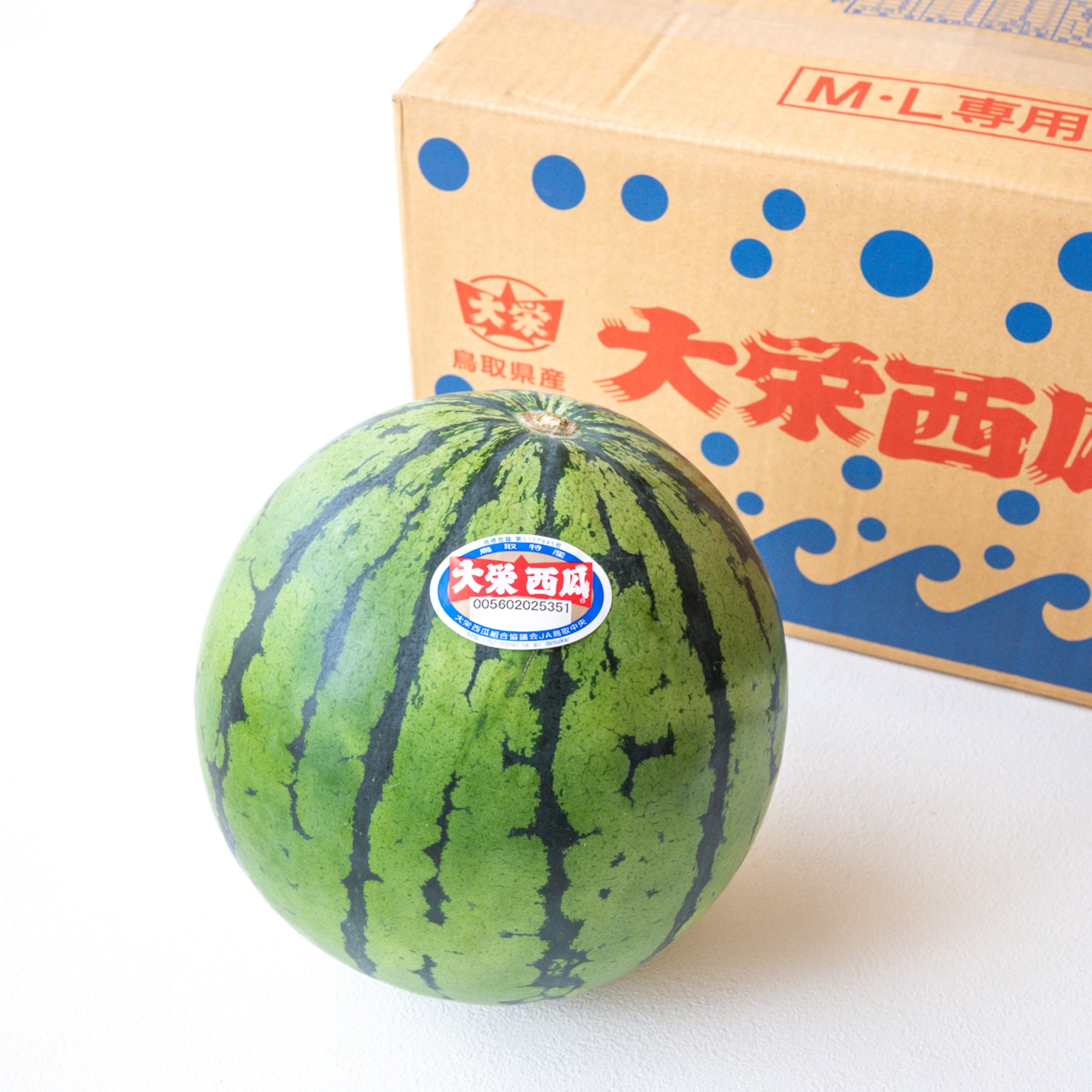大栄すいか