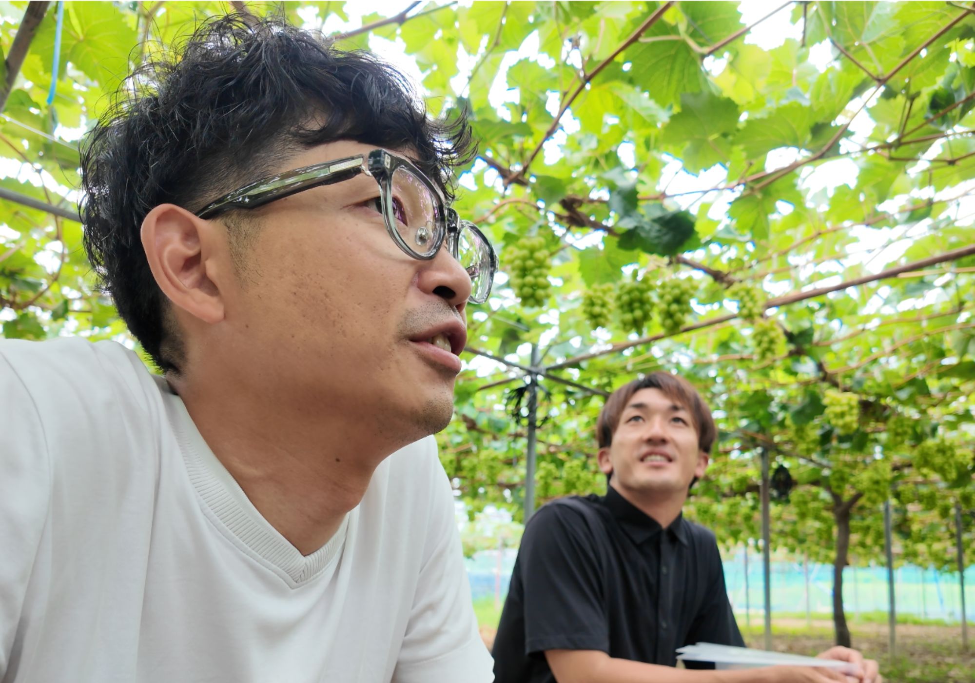 予約受付中 7/15以降出荷開始】クイーンセブン - フルーツギフト専門店