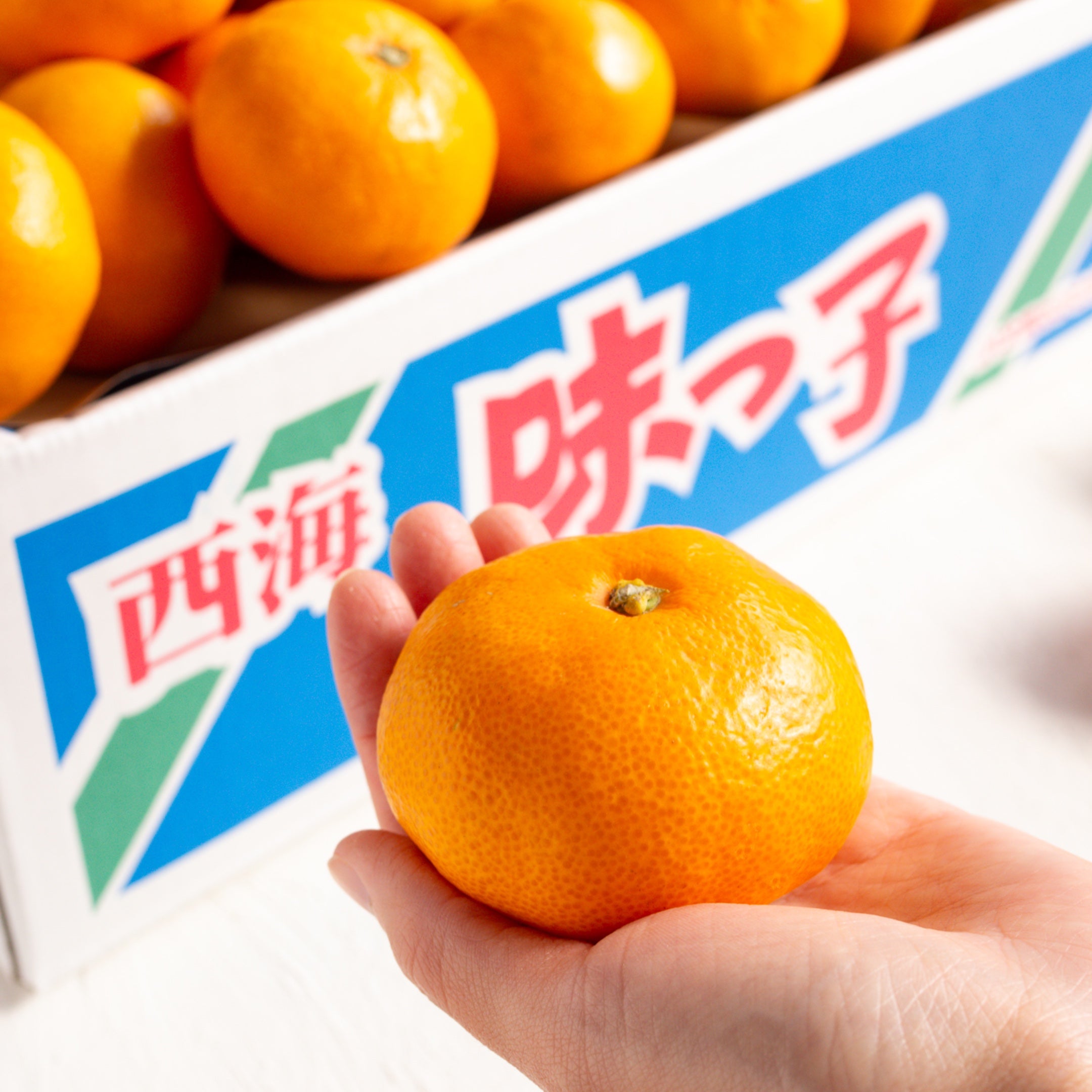 【日付指定不可】味っ子みかん