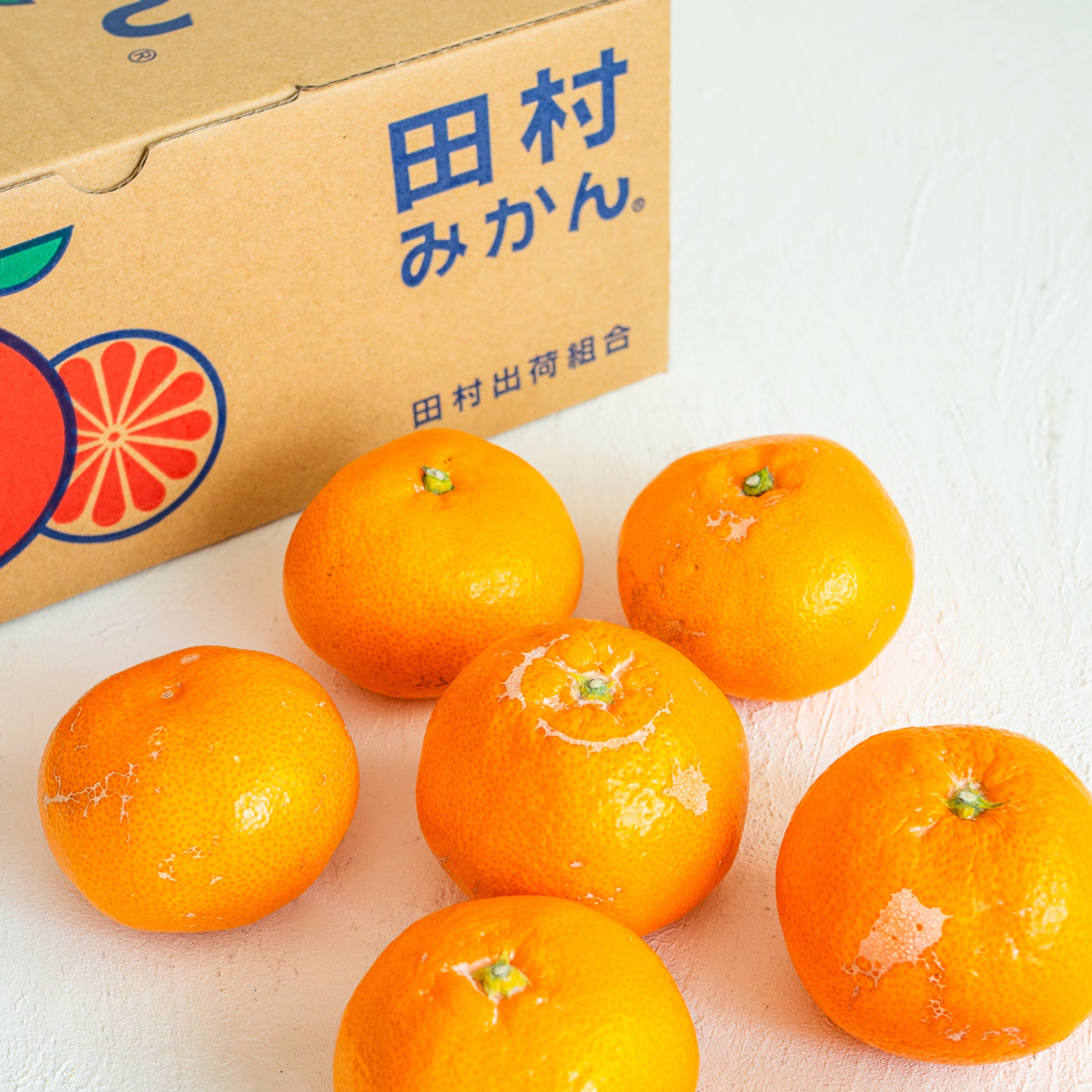 田村みかん