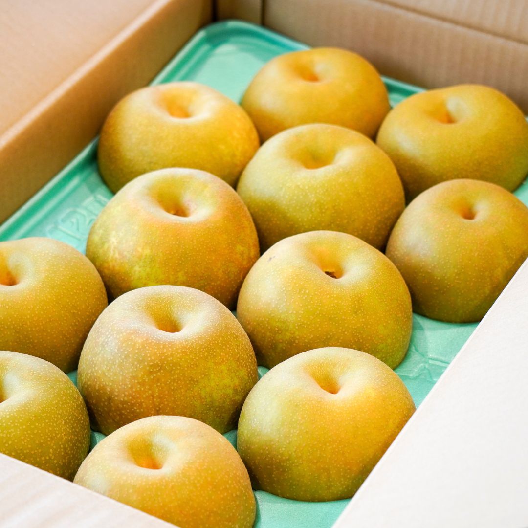 品種お任せ 大玉梨