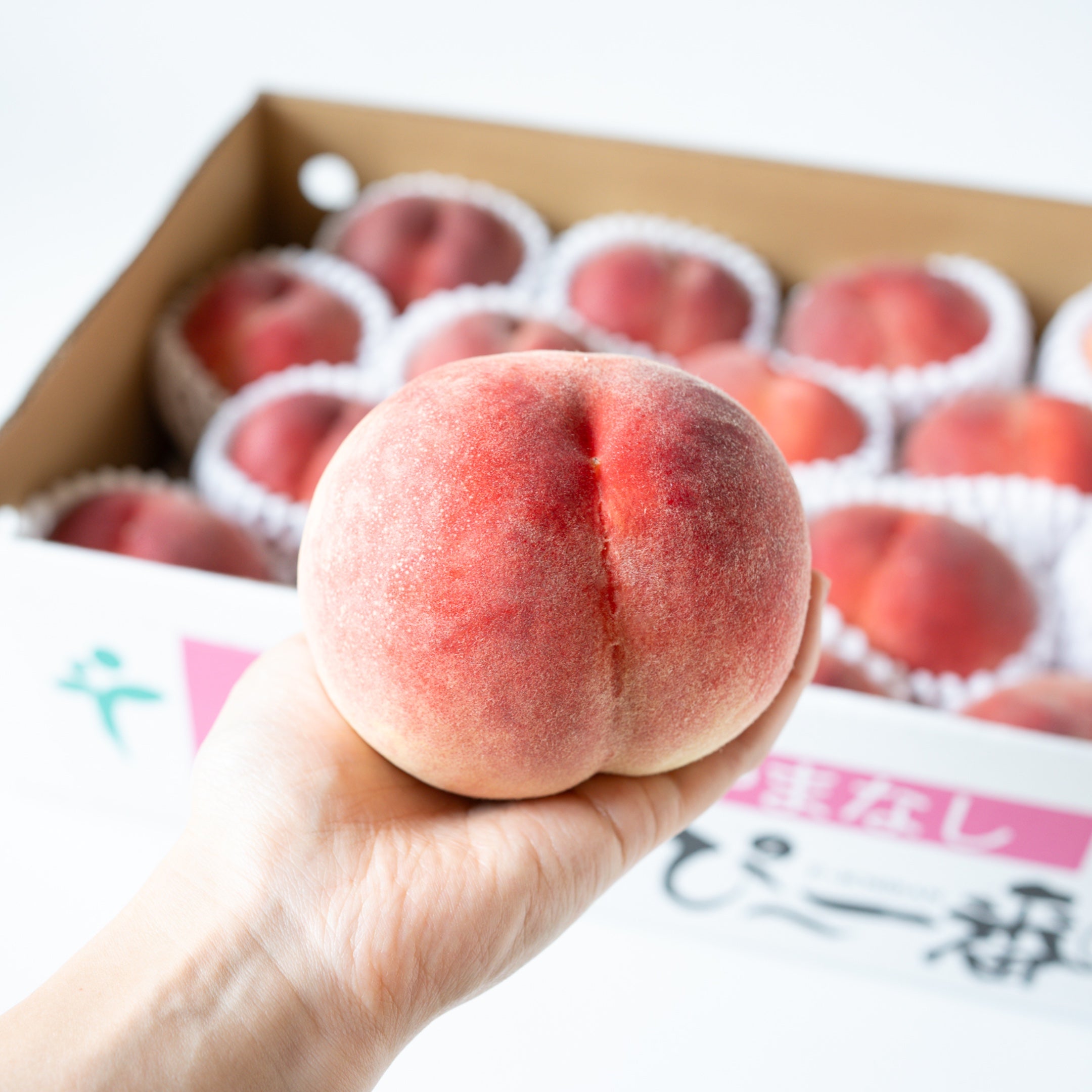 山梨県産 桃