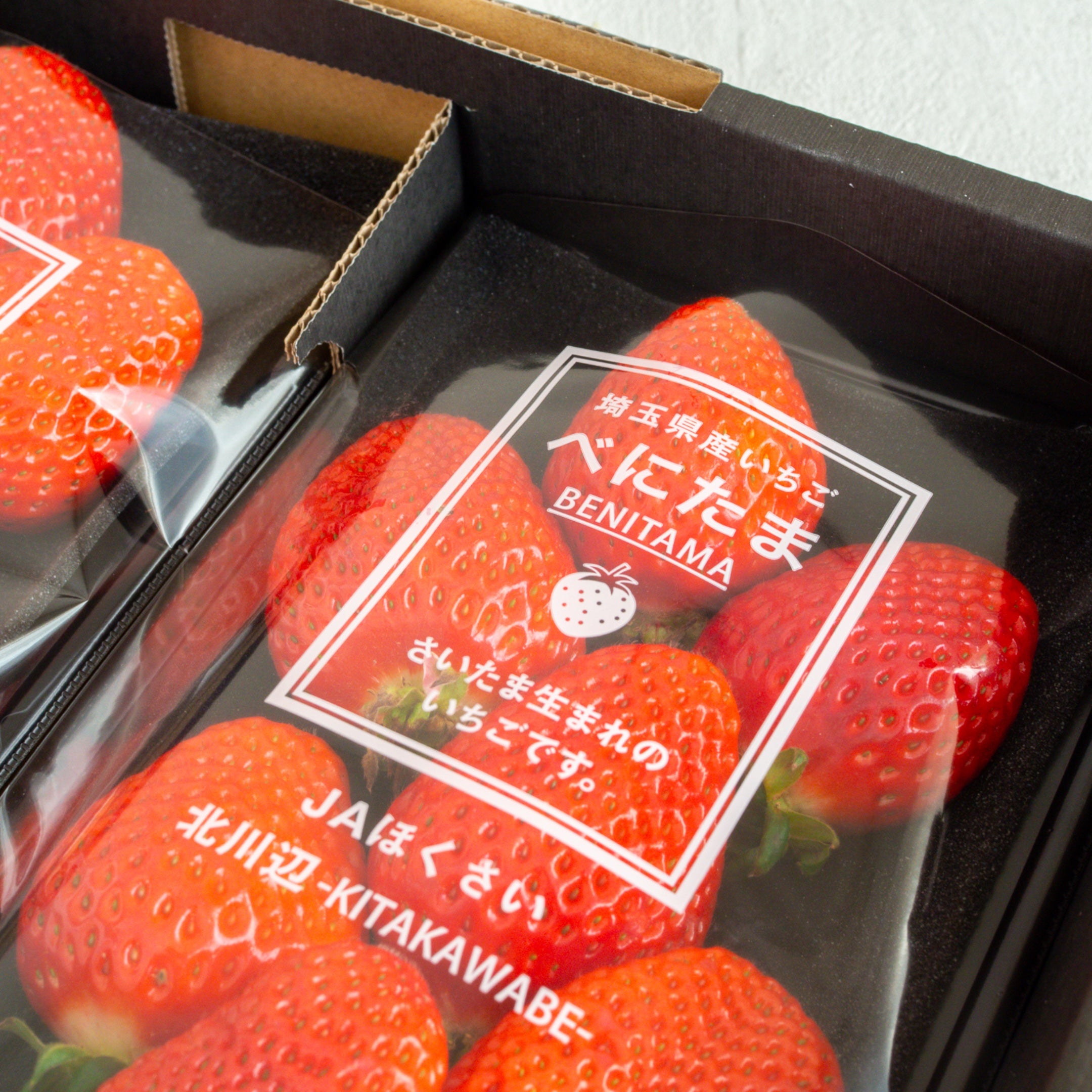 【日付指定不可】べにたま