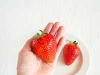 【産地直送・日付指定不可】鈴木ファーム -とちあいか-