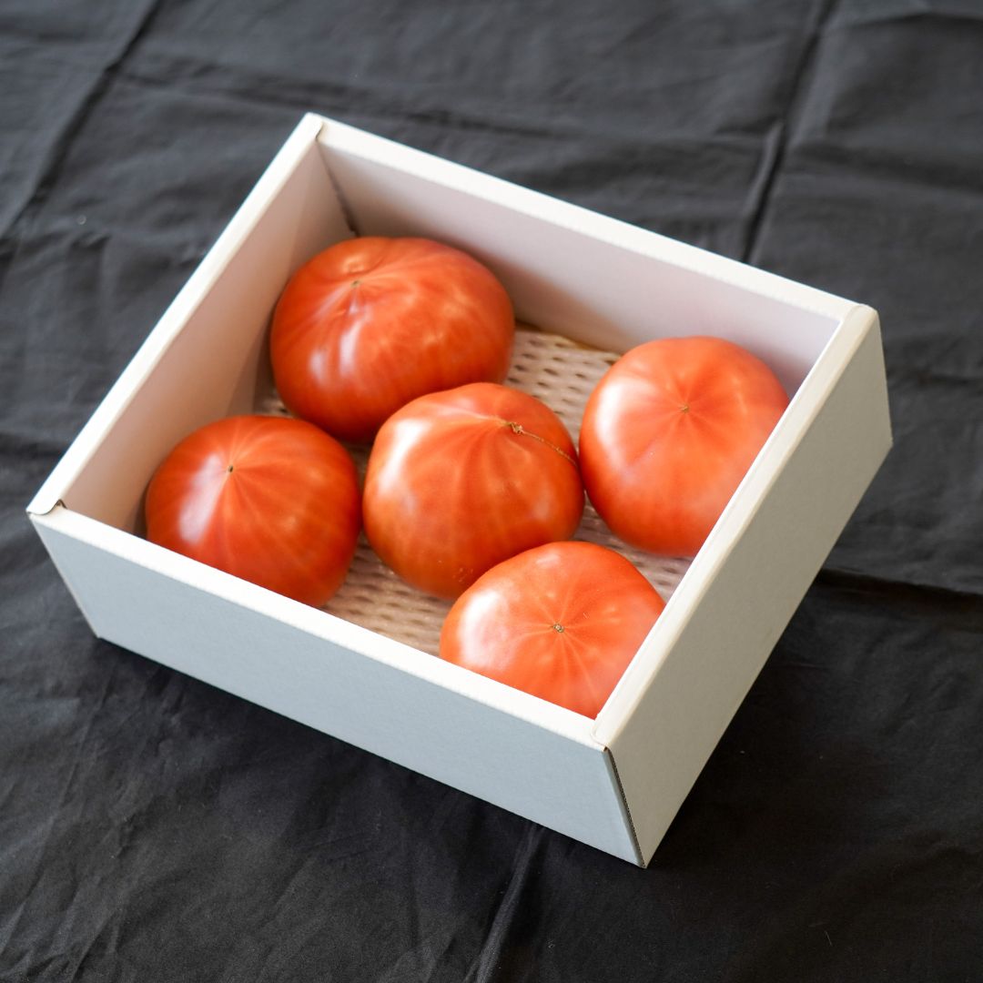 ファーストトマト -龍珠-