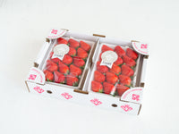 日付指定不可【大田市場より直送】宮城県産 ミガキイチゴ -シルバー-