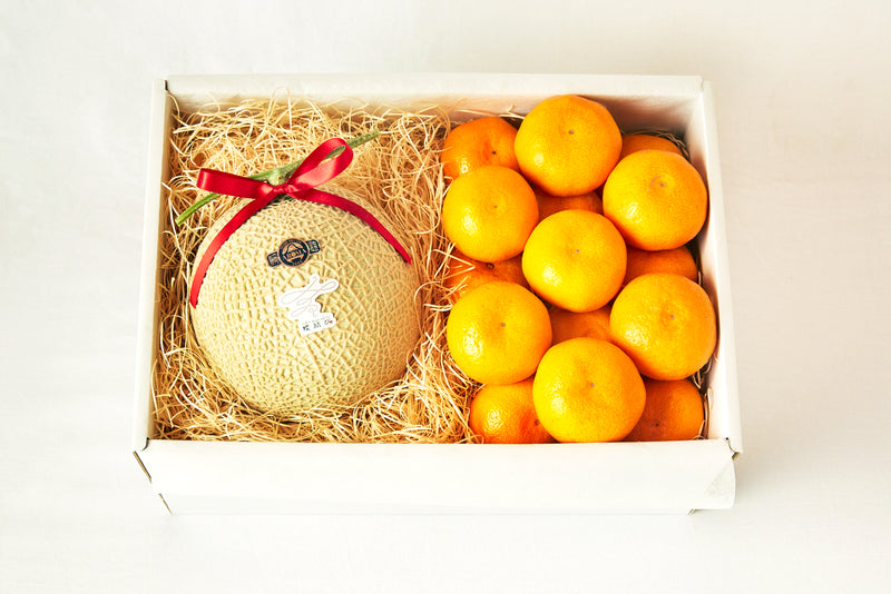 静岡県産 アローマメロンと、和歌山県産 田村みかんのセット - フルーツで贈る出産祝い「蝶結び」