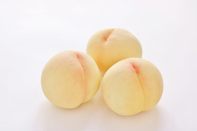 【6月末〜出荷可能】桃食べくらべセット　6玉